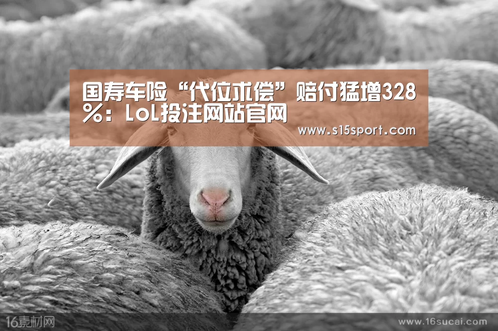 LoL投注网站官网