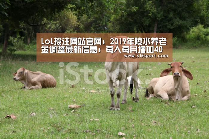 LoL投注网站直播