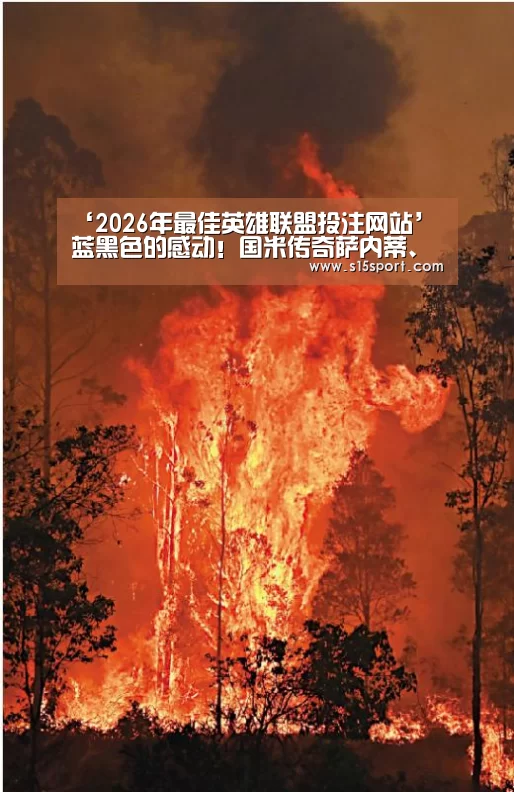 2026年最佳英雄联盟投注网站